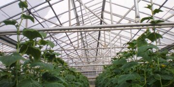 Ενιαίος Αγροτικός Σύλλογος Ιεράπετρας: Δωρεάν στα μέλη του η έκδοση του Μητρώου Αγροτών