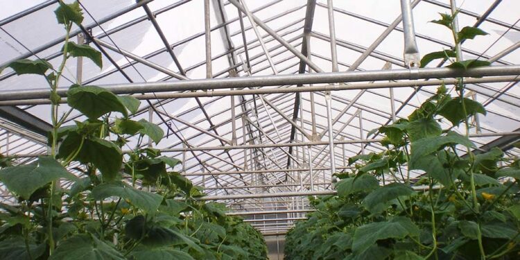 Ενιαίος Αγροτικός Σύλλογος Ιεράπετρας: Δωρεάν στα μέλη του η έκδοση του Μητρώου Αγροτών