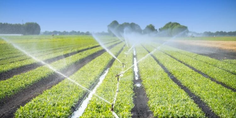 Στ. Αραχωβίτης – Σωκ. Φάμελλος: «Και την άρδευση ιδιωτικοποιεί μετά τη ΔΕΗ η κυβέρνηση Μητσοτάκη»