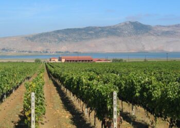 Με απόλυτη επιτυχία ολοκληρώθηκε το Διεθνές Συνέδριο Οινοτουρισμού