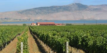 Με απόλυτη επιτυχία ολοκληρώθηκε το Διεθνές Συνέδριο Οινοτουρισμού