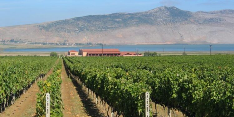 Με απόλυτη επιτυχία ολοκληρώθηκε το Διεθνές Συνέδριο Οινοτουρισμού