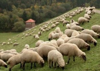 Στ. Αραχωβίτης: “Η κυβέρνηση της ΝΔ αναιρεί ξανά την κυβέρνηση της ΝΔ!”