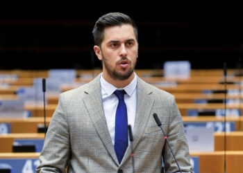 Εμμανουήλ Φράγκος: Στήριξη στους Έλληνες ελαιοκαλλιεργητές που αντιμετωπίζουν πρωτοφανείς προκλήσεις