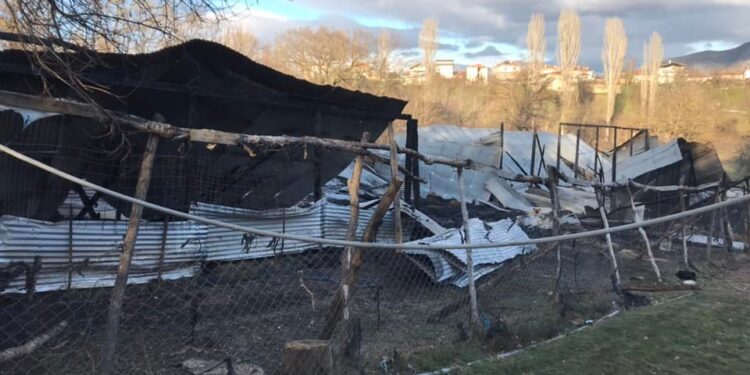 Πυρκαγιά κατέστρεψε ολοσχερώς κτηνοτροφική μονάδα στην Καστοριά