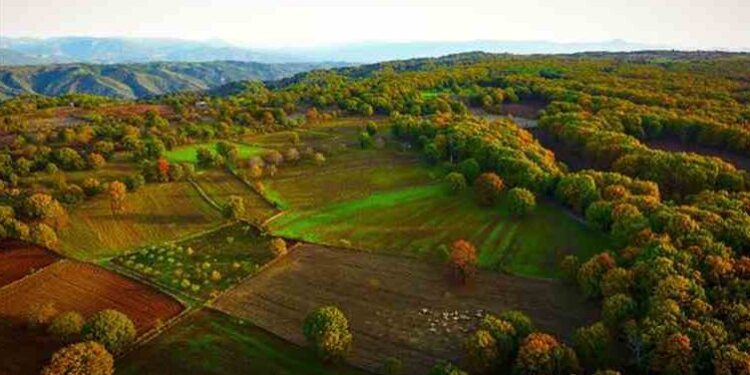 ΥΠΑΑΤ: Υποβλήθηκε το Εθνικό Στρατηγικό Σχέδιο της ΚΑΠ 2023-2027