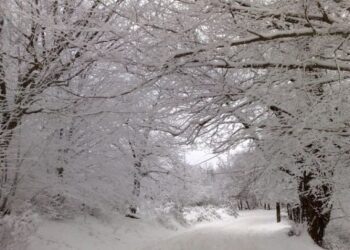 ΕΚΤΑΚΤΟ ΔΕΛΤΙΟ ΕΠΙΔΕΙΝΩΣΗΣ ΤΟΥ ΚΑΙΡΟΥ