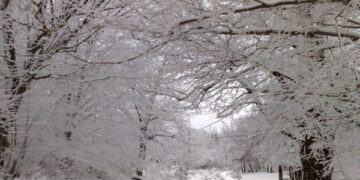 ΕΚΤΑΚΤΟ ΔΕΛΤΙΟ ΕΠΙΔΕΙΝΩΣΗΣ ΤΟΥ ΚΑΙΡΟΥ