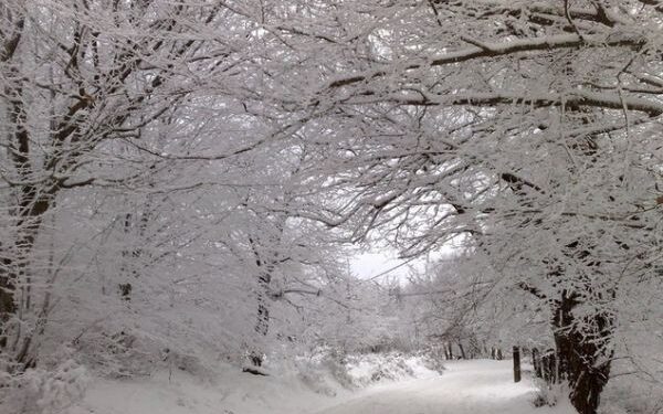 ΕΚΤΑΚΤΟ ΔΕΛΤΙΟ ΕΠΙΔΕΙΝΩΣΗΣ ΤΟΥ ΚΑΙΡΟΥ