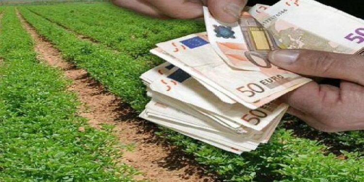 Στ. Αραχωβίτης- Ολ. Τελιγιορίδου: “Η χειρότερη πληρωμή όλων των εποχών Ευρωπαϊκών επιδοτήσεων, επιβεβαιώθηκε”