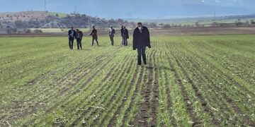 Γιώργος Αμανατίδης: Η επένδυση φαρμακευτικής κάνναβης βρίσκεται σε φάση ωρίμανσης
