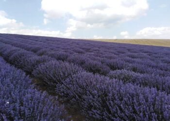 Ευχαριστήριο του Συλλόγου Παραγωγών Αρωματικών και Φαρμακευτικών Φυτών Γρεβενών