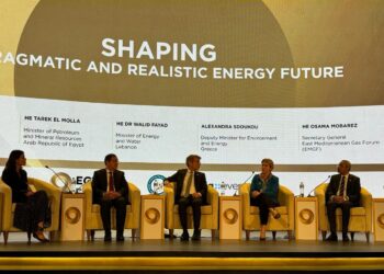 Αλ. Σδούκου: Με όραμα, αλλά και ρεαλισμό στο δρόμο για το net zero,  με «γέφυρα» την ανάπτυξη κοιτασμάτων φυσικού αερίου