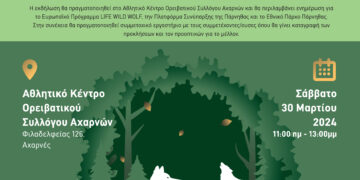 Εθνικός Δρυμός Πάρνηθας: Συναντήσεις για τη δημιουργία της Πλατφόρμας Συνύπαρξης του ανθρώπου με το λύκο