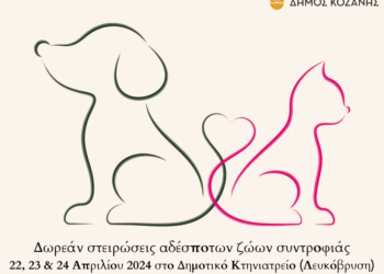 Δήμος Κοζάνης: Δωρεάν στειρώσεις αδέσποτων ζώων συντροφιάς 22 – 24 Απριλίου