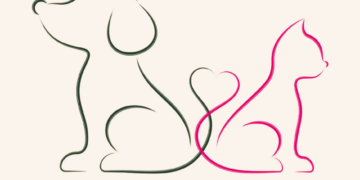 Δήμος Κοζάνης: Δωρεάν στειρώσεις αδέσποτων ζώων συντροφιάς 22 – 24 Απριλίου