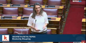 Πέτη Πέρκα: Αυξήσεις στα τέλη χρήσης δικτύου σε ΑΔΜΗΕ και ΔΕΔΔΗΕ λόγω της «κοινωνικοποίησης» του κόστους σύνδεσης ΑΠΕ