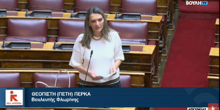 Πέτη Πέρκα: Αυξήσεις στα τέλη χρήσης δικτύου σε ΑΔΜΗΕ και ΔΕΔΔΗΕ λόγω της «κοινωνικοποίησης» του κόστους σύνδεσης ΑΠΕ