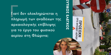 Ερώτηση της Πέτης Πέρκα για την μη ολοκλήρωση της αποπληρωμής αναδόχων αρχαιολογικής επίβλεψης για το έργο του φυσικού αερίου της Φλώρινας