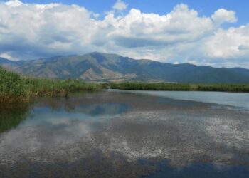 Ξεκίνησαν οι ηλεκτρονικές αιτήσεις για παράταση στη Δράση 10.1.04  ύψους 50 εκατ. ευρώ