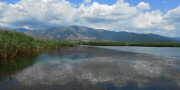 Ξεκίνησαν οι ηλεκτρονικές αιτήσεις για παράταση στη Δράση 10.1.04  ύψους 50 εκατ. ευρώ