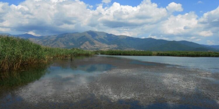 Ξεκίνησαν οι ηλεκτρονικές αιτήσεις για παράταση στη Δράση 10.1.04  ύψους 50 εκατ. ευρώ